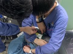 -半岛宠物医院24小时(白果林店)