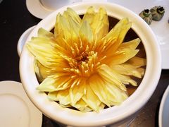 -甄御•海鲜新青岛菜(麦岛店)