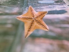 -沈阳海洋探索中心