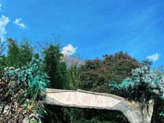 -王顺山国家森林公园