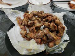 -鸽鸟轩(石岐店)