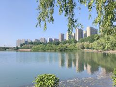 -丁香湖公园
