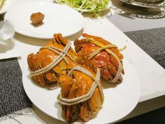 -常州环球恐龙城维景国际大酒店