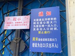 -桃花堤公园