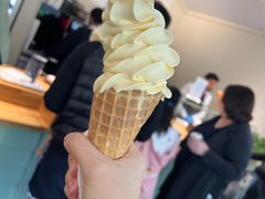 -白金汉宫