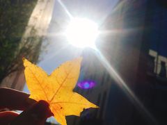 -同庆楼(金宝汇店)