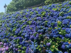 -苏州上方山国家森林公园