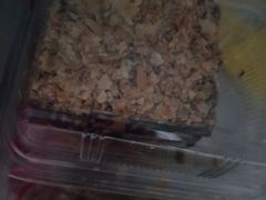 -爱德顺糕点食屋(利民道店)