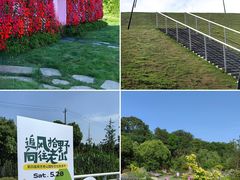 -佛手湖郊野公园
