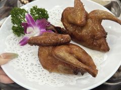 -鸽鸟轩(石岐店)
