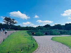 -济州森林小火车生态公园