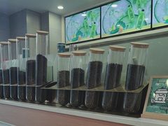 -雾与山茶(大禹城店)