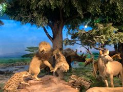 -国家自然博物馆