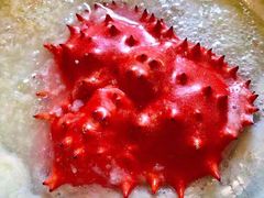 -吉友粥底火锅(方斜路店)