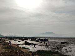 -北岐滩涂