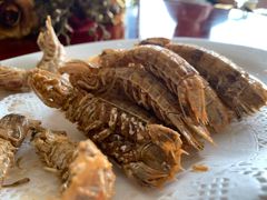 带膏赖尿虾-旺富东海大酒楼(海鲜街店)