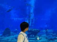 -亚特兰蒂斯•OSSIANO奥西亚诺海底餐厅