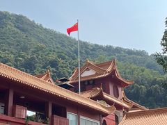 -深圳仙湖植物园