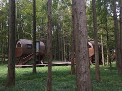 -黄海国家森林公园