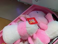 -汤姆熊欢乐世界(光启城店)