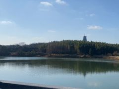 -宜兴龙背山森林公园