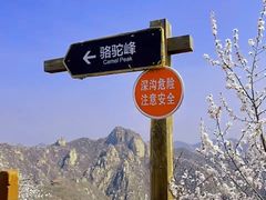-大岭沟猕猴桃谷风景区