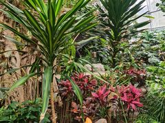 -北京植物园-展览温室