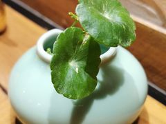 -顺承小院儿