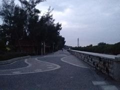 -宝安西湾红树林湿地公园