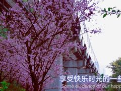 -佛图关公园