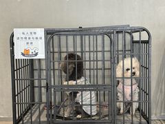 -阿那亚第六食堂(文创街区店)