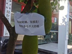 -西双版纳傣族园