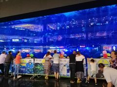 -成都浩海立方海洋公园