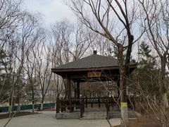 -大兴滨河森林公园