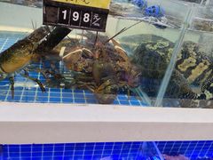 -大众海鲜(巨龙北路店)