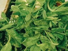 -金鼎雪山牦牛杂火锅(理县总店)