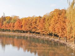 -狼山风景名胜区