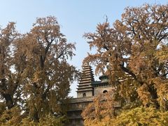 -北京石刻艺术博物馆(五塔寺)
