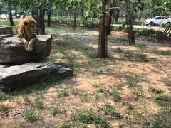 -秦皇岛野生动物园