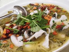 -张记旺角食街(动物园店)