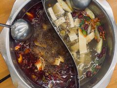 -金鼎雪山牦牛杂火锅(理县总店)