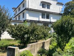 -树山生态村