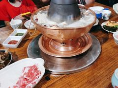 -额尔敦草原涮羊肉·烧烤(冻青树总店)