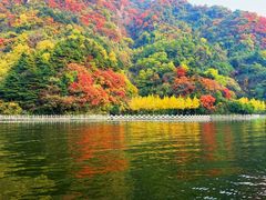 -秦岭终南山世界地质公园翠华山景区