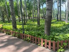 -仁和公园(顺义区)