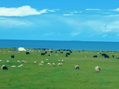 -青海湖国家重点风景名胜区