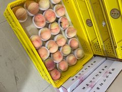 -老袁家蜜桃农场·阳山水蜜桃