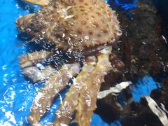 -盛港湾海鲜食府(黄沙店)