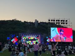 -羊山湖公园