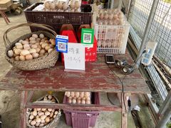 -马陆小张葡萄园农家乐